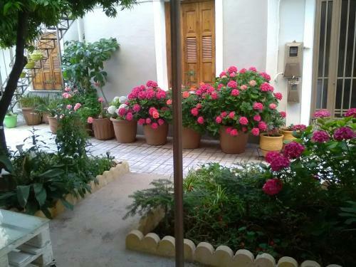 Apartamento Agni's City House