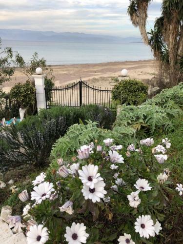 Apartamento Villa Panorama Astrakeri Beach