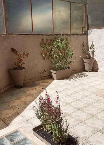 Apartamento City Center Garden House