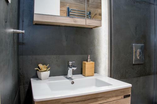 Rene Urban Apartment