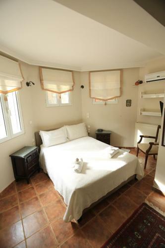 In White Villa
