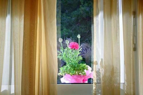 Apartamento Villa Malena Nature And Sea View
