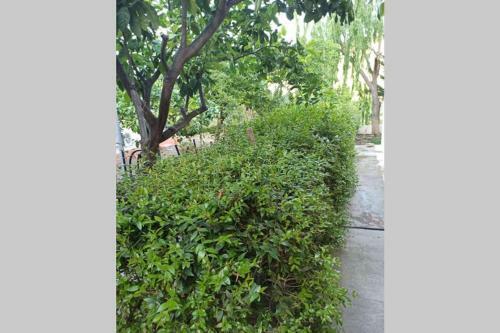 Apartamento Villa Malena Nature And Sea View