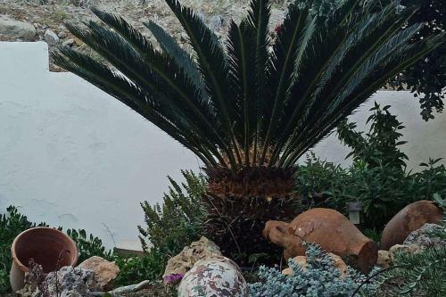 Apartamento Villa Malena Nature And Sea View