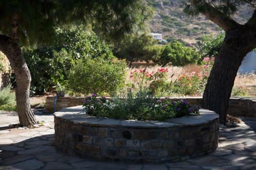 Villa Relaxing Home Mikri Vigla, Naxos