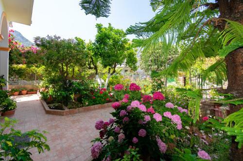 Villa Sophia Apartments By Corfuescapes