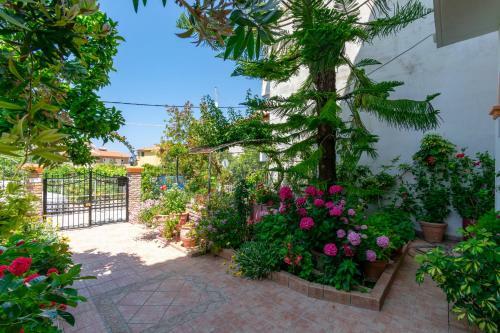 Villa Sophia Apartments By Corfuescapes