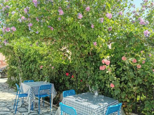 Hotel Villa Valia