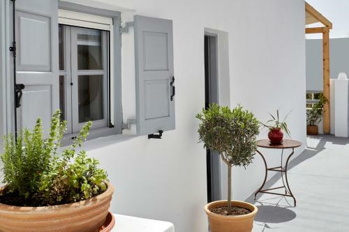 Apartamento Lamina Guest House Perissa