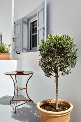 Apartamento Lamina Guest House Perissa