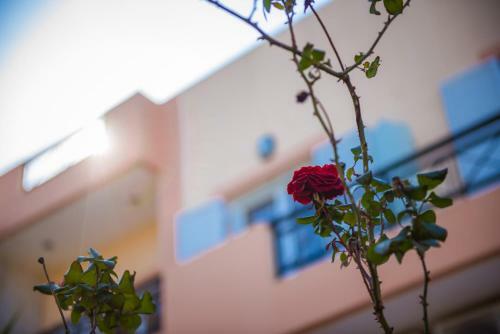 Fnk Apartments With Sea View