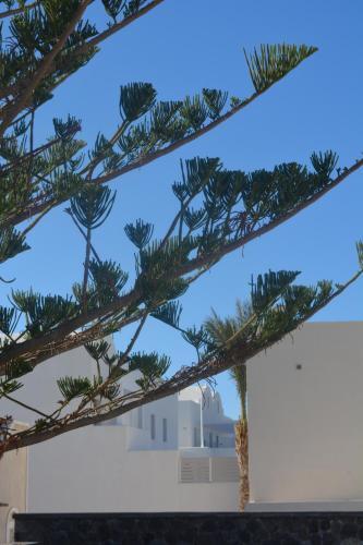 Apartamento Anezinas Place