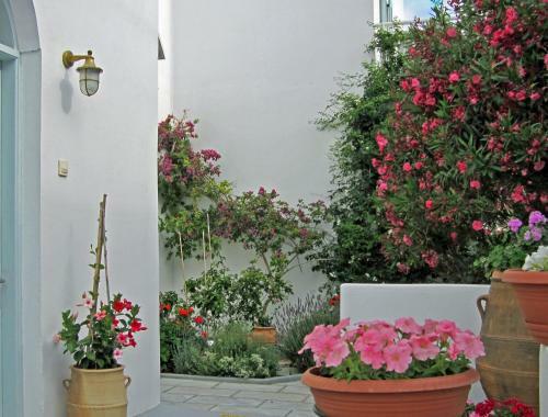 Zorzis Hotel -adults Only