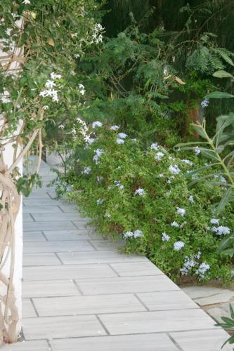 Zorzis Hotel -adults Only