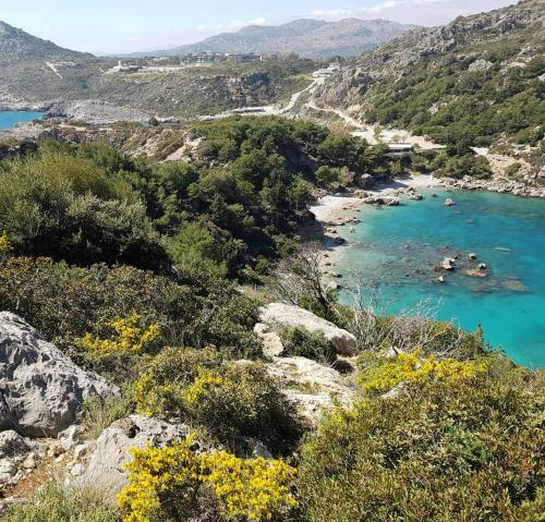 Ladikos Garden Hotel Faliraki