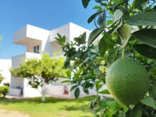 Ladikos Garden Hotel Faliraki