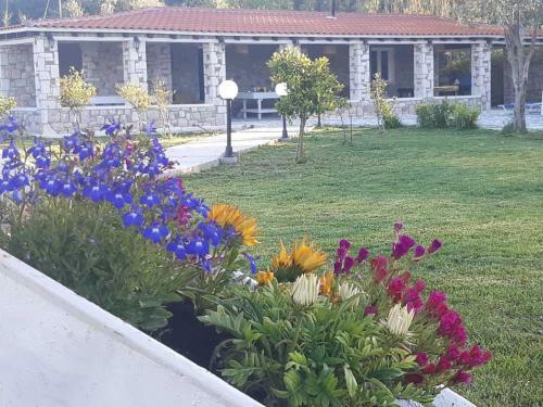 Oasis Villa