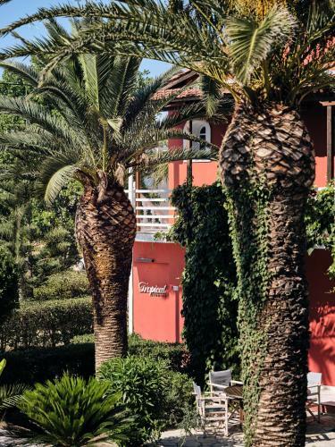 Apartamento Tropical Superior Suite