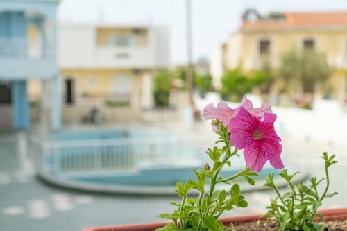Hotel Anna Studios & Apartments