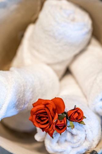 Apartamento Moon Boutique Hotel