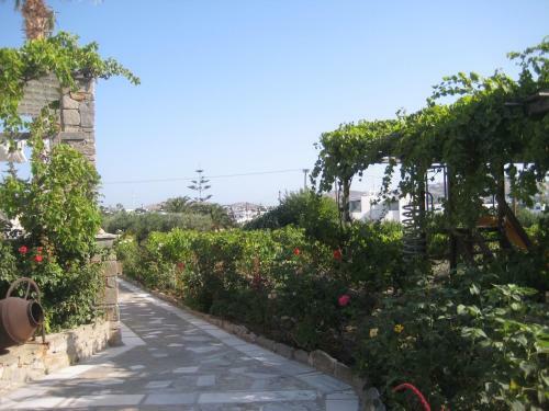 Paros Traditional Country House