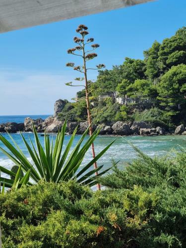 Apartamento Corfu Dream Glyfada 2-5