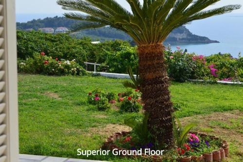 Apartamento Mediterranean Studios
