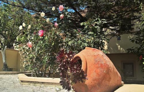 Apartamento Studios Minas - Lassi , 2min From Makris Yialos