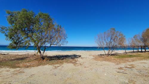 The Cacti II , Luxury Beachfront Villa, Possidi