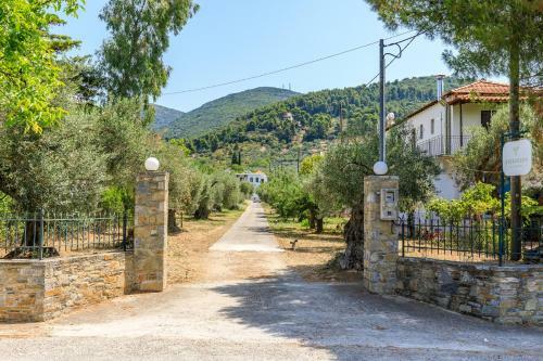 Skopelos Evergreen Apartments