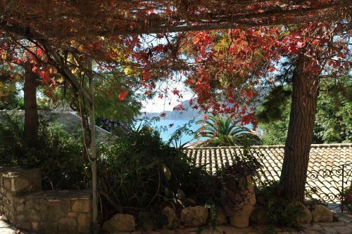 Villa Theodora View Apartments Erato