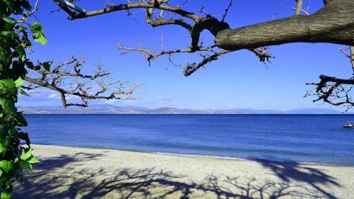 Unlimited Sea & Sky Peloponisos