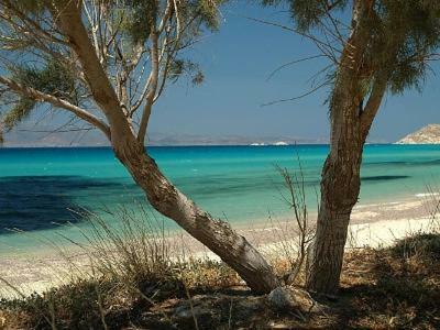 Palmos Self-catering Apartment