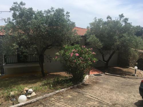 Apartamento Fteroti House