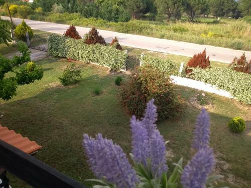 Athina Vourvourou Apartments