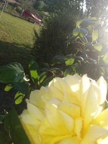 Athina Vourvourou Apartments