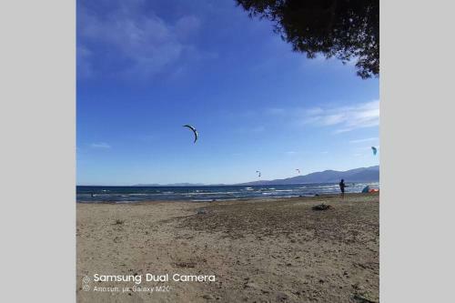 Apartamento Virna S Home