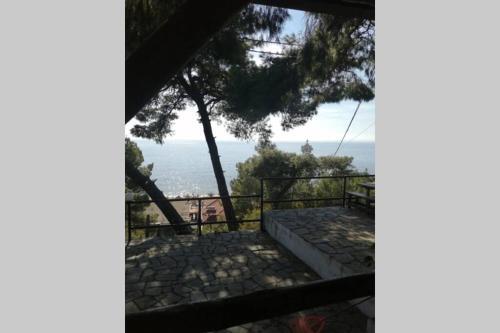 Grandmas Paradise Villa