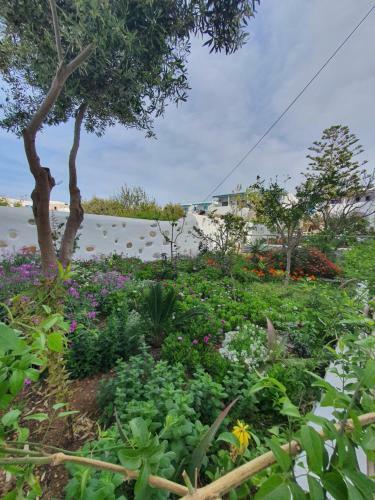 Apartamento Ermis Koufonissi