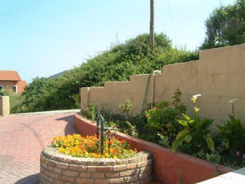 Angela Apartments Pool Gardens And Sea Views