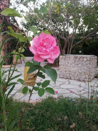Apartamento Anestis Studio