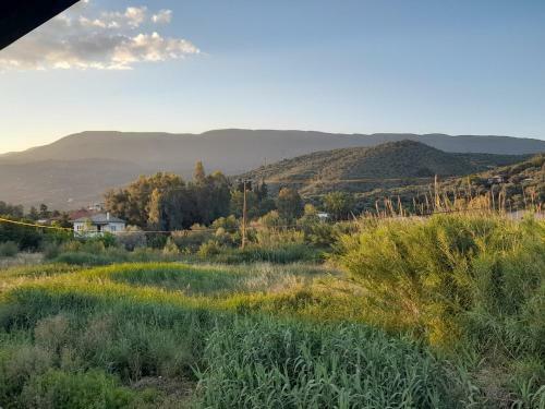 Stellina's Pelion House