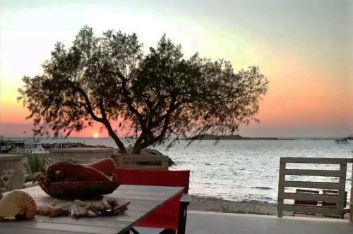 Apartamento On The Water Lodging 1
