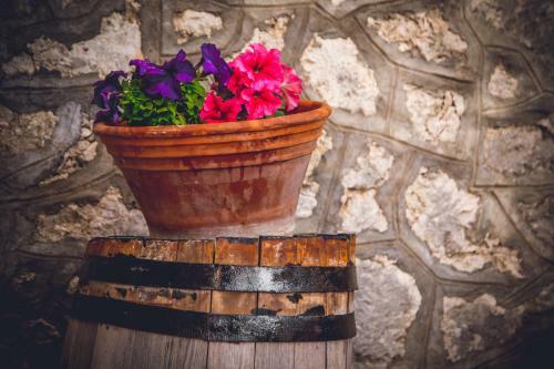 Traditional Guesthouses Xenofon