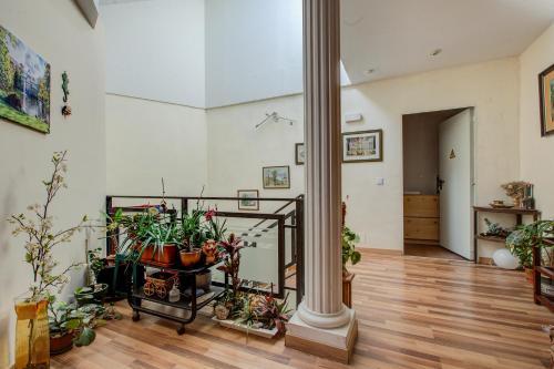 Hostal El Ca�o De Alpedrete