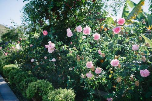 Apartamentos El Patio De Tita