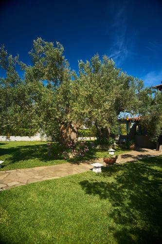 Villa The Cosy Olive