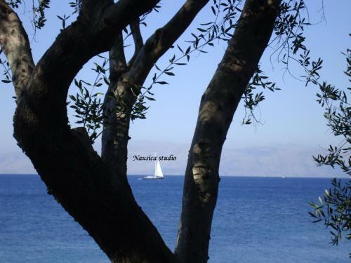 Agroturismo Studio Nausica... A Sense Of Paradise!