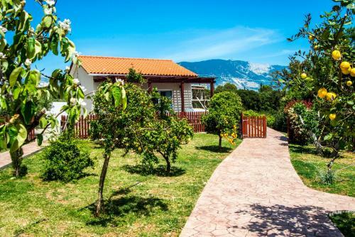 Xarafailte Summer House