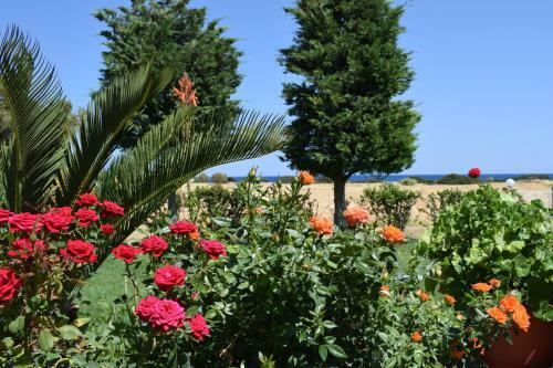Aelia Sea View Bungalow